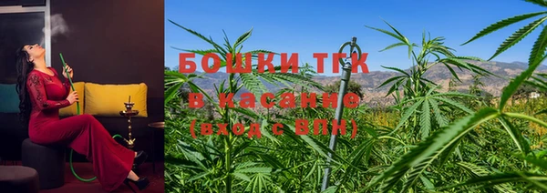 стафф Горнозаводск